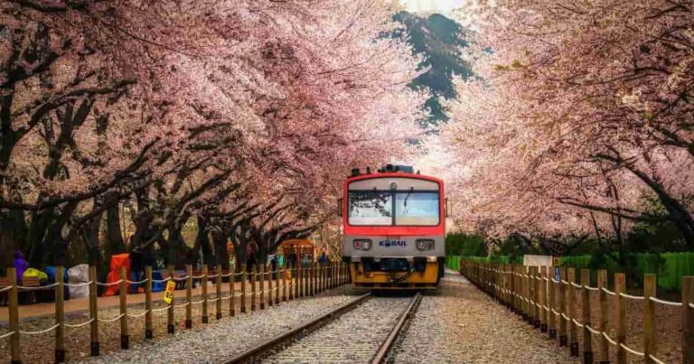 How to Use the Korail Pass: Price, Perks, & Reservation Guide