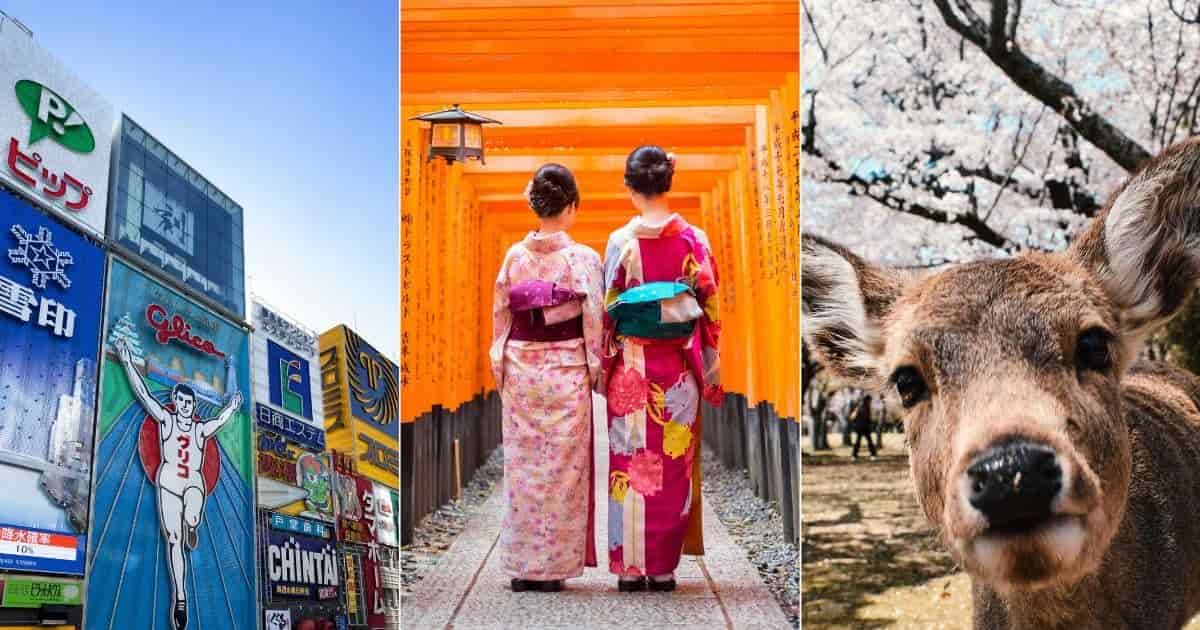 how-to-fill-out-the-japan-schedule-of-stay-form