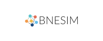 BNESIM Germany eSIM