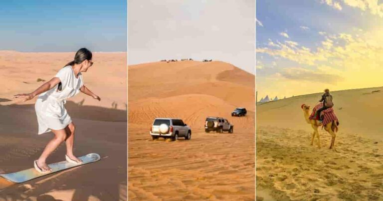5 Best Desert Safari Tours in Dubai
