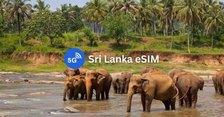 Best Sri Lanka eSIMs 2026: Unlimited Data & Phone Number