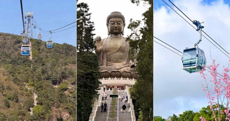 Hong Kong Ngong Ping 360 Guide for Visitors 2026: Ticket Price & Cabin Types