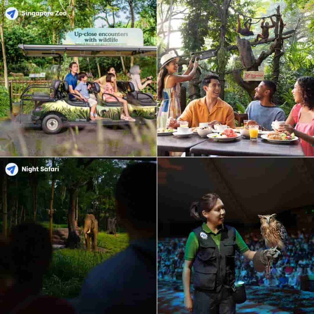 singapore-zoo-night-safari-ticket-price-review