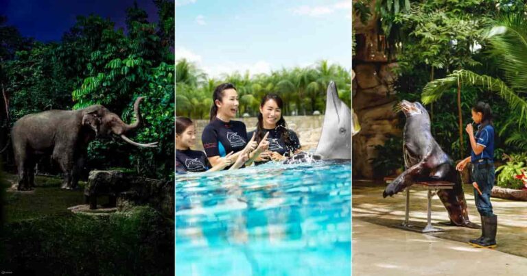 7 Best Zoos & Aquariums in Singapore: Ticket Deals & Promo Code