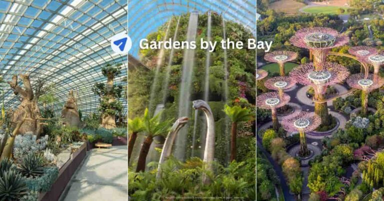 What to Expect in Gardens by the Bay: Domes, Tickets, & Promo Code