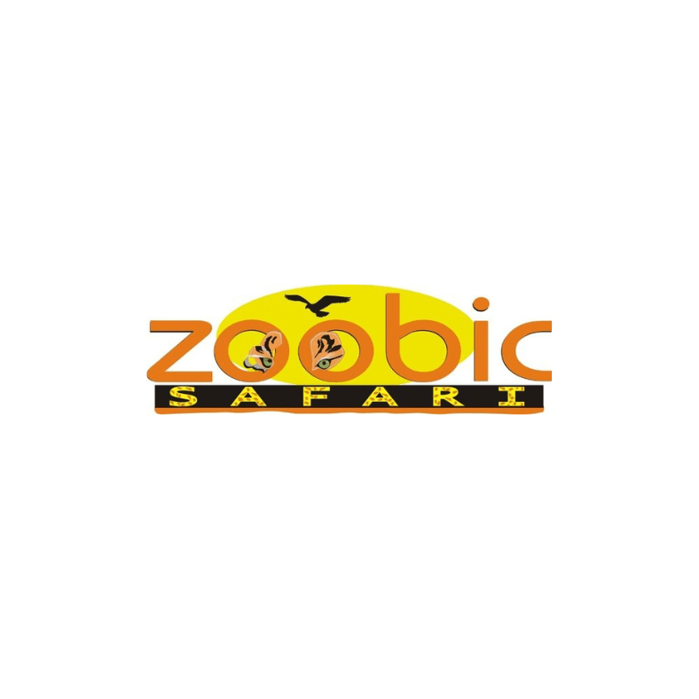 things-to-do-philippines-zoobic-safari