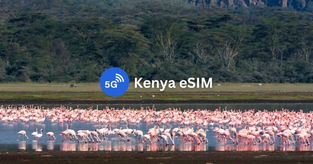 kenya-esim-data-tourist-provider-blog