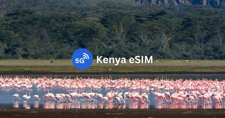 10 Best Kenya eSIMs for Tourists: Unlimited Data & Phone Number