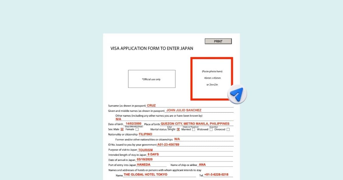 How to Fill Out the Japan Visa Application Form